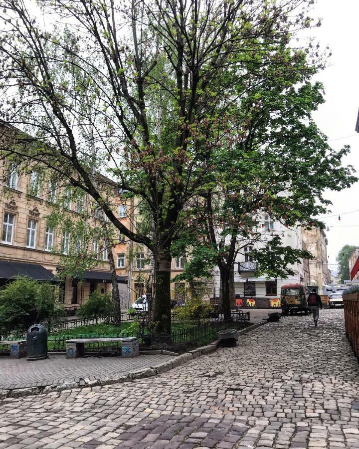Vip Apartment Ploscha Rynok Lvov Exteriér fotografie